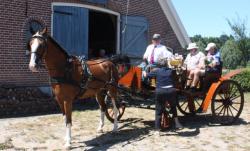 Met paard en wagen naar Erve IJzerman 