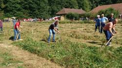 WK maaien met de zeis op Padd